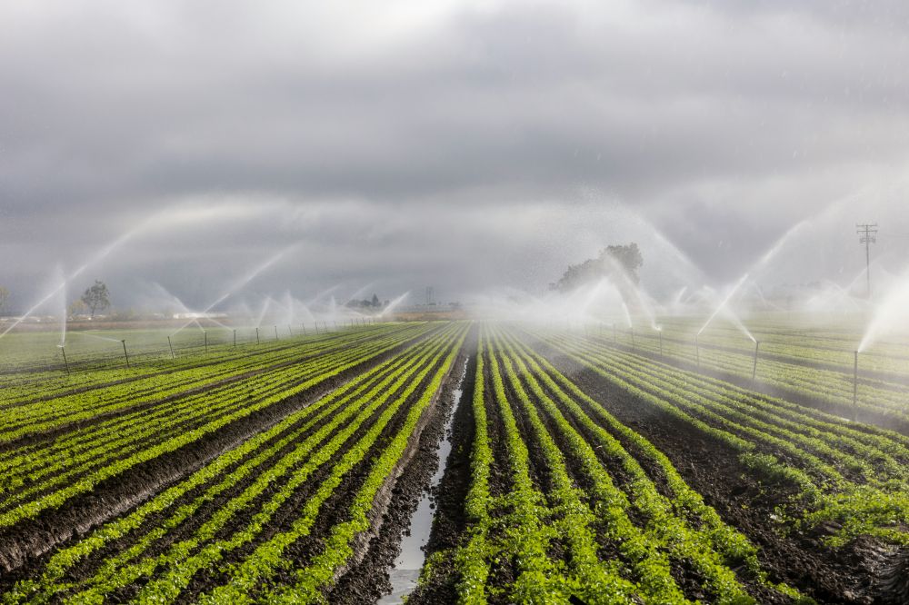 Spredere for effektiv vanning i landbruk og hage